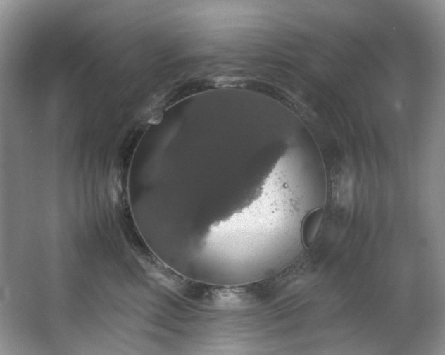X0000064770618200602101251