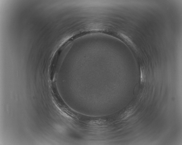 X0000064770627200602101250