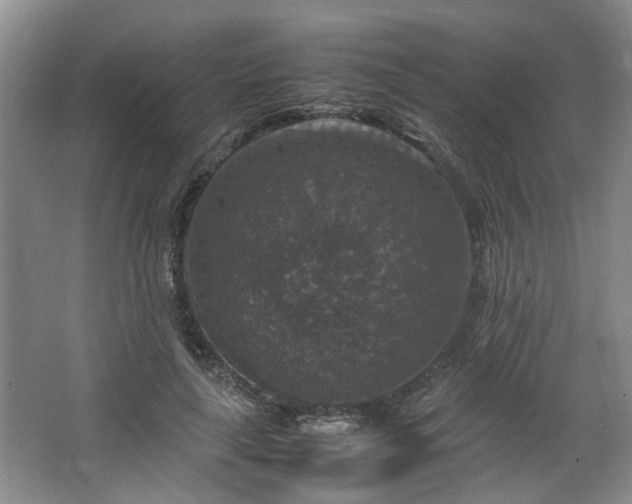 X0000064770643200602101250