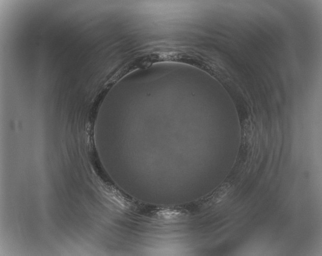 X0000064770650200602101250