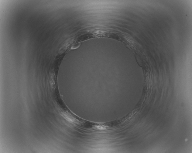 X0000064770654200602101250