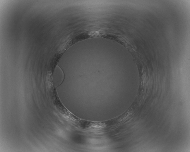 X0000064770659200602101250