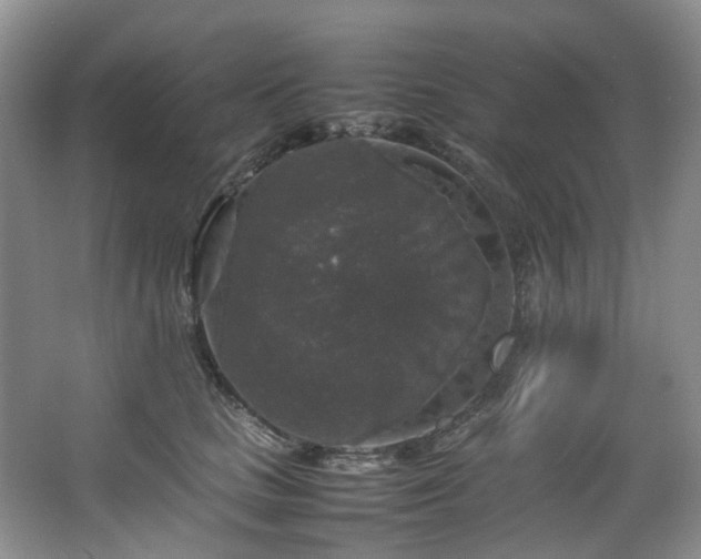 X0000064770661200602101250