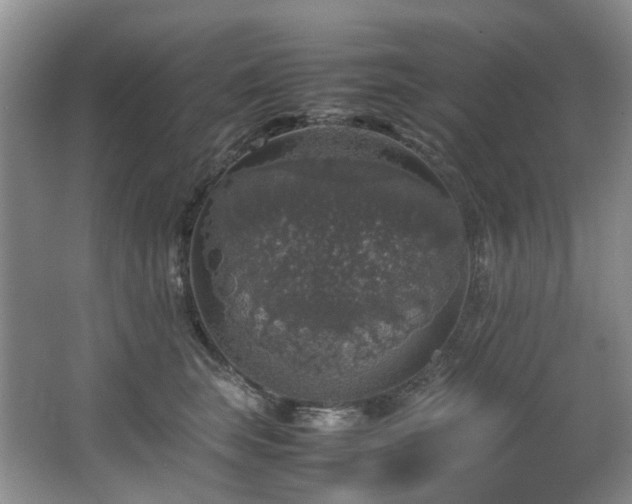 X0000064770663200602101250