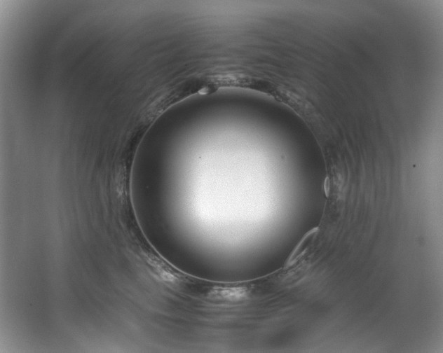 X0000064770665200602101250