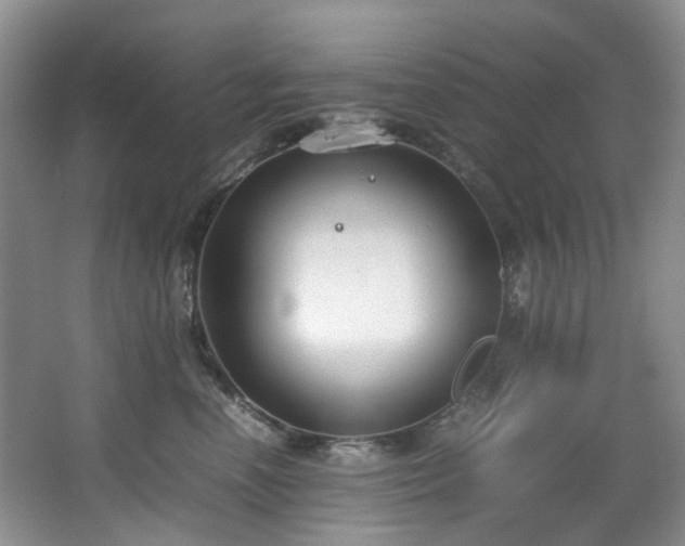 X0000064770666200602101250