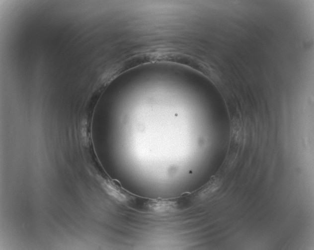 X0000064770670200602101250
