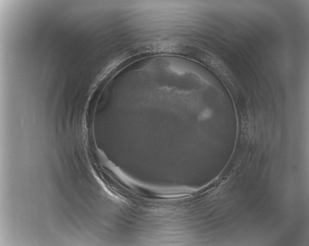 X0000064770674200602101250