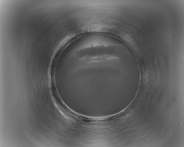 X0000064770678200602101250