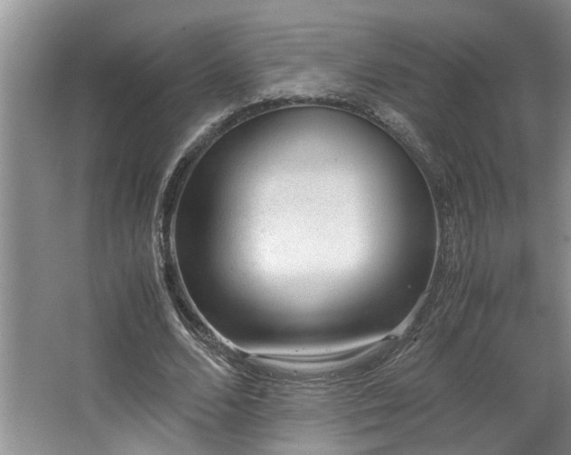 X0000064770680200602101250