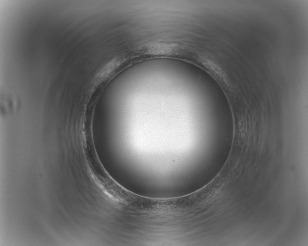 X0000064770682200602101250