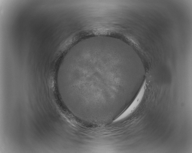 X0000064770687200602101249