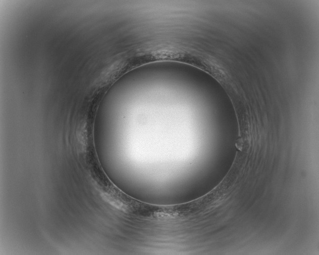 X0000064770690200602101249