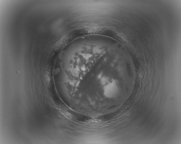 X0000064770691200602101249
