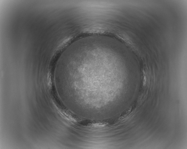X0000064770692200602101249