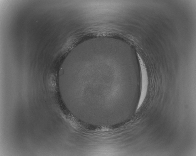 X0000064770695200602101249
