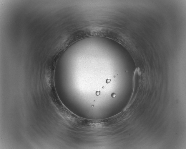 X0000064770698200602101249