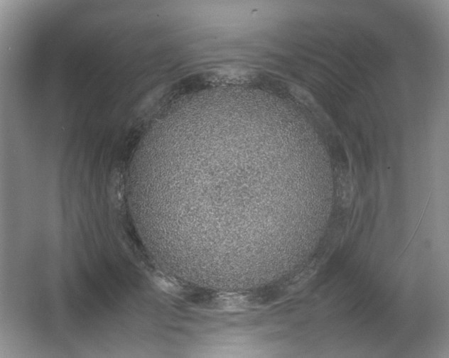 X0000064770701200602101249