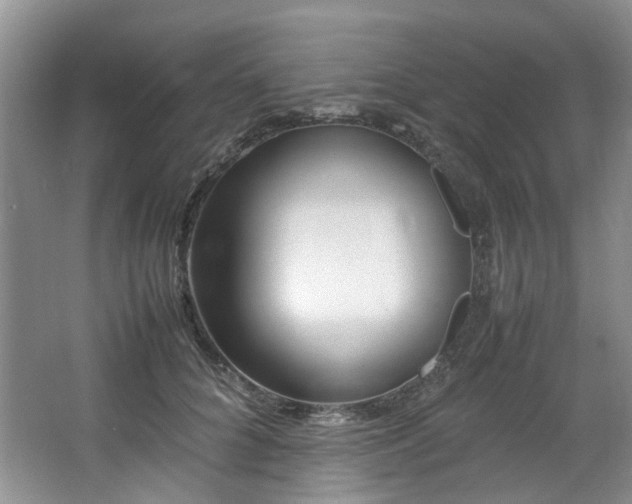 X0000064770704200602101249