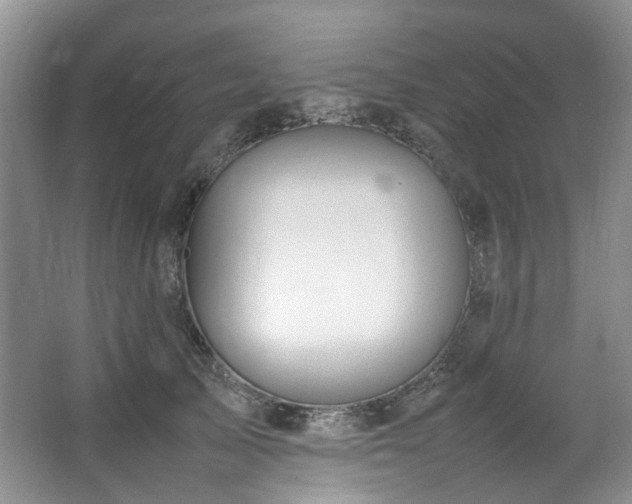 X0000064770705200602101249