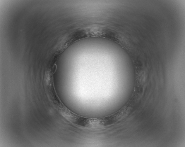 X0000064770709200602101249