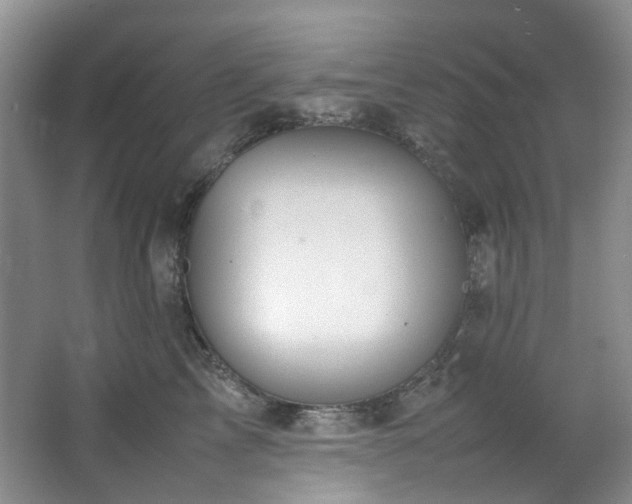 X0000064770713200602101249