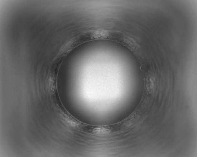 X0000064770714200602101249