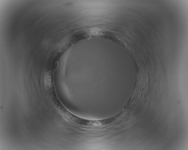 X0000064770715200602101249