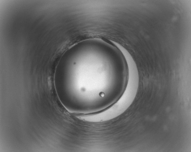 X0000064770716200602101249