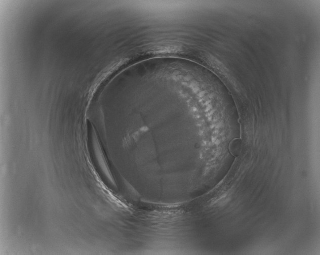 X0000064770721200602101248