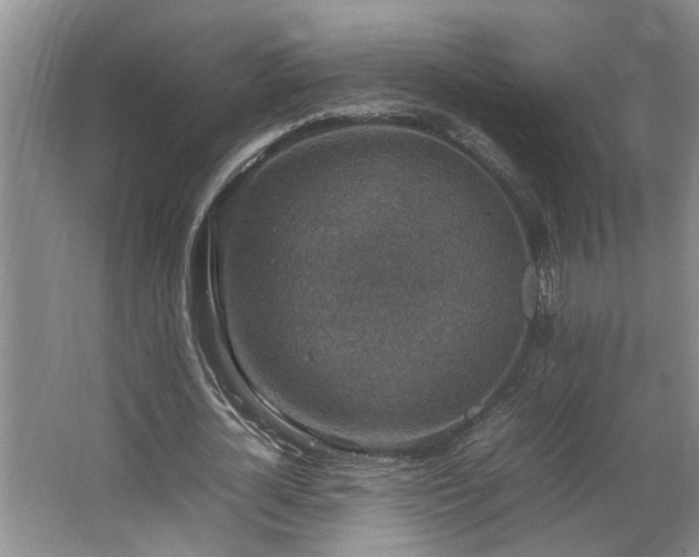 X0000064770724200602101248
