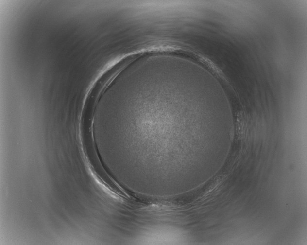 X0000064770726200602101248