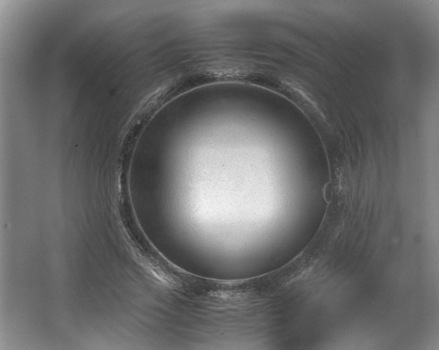 X0000064770733200602101248