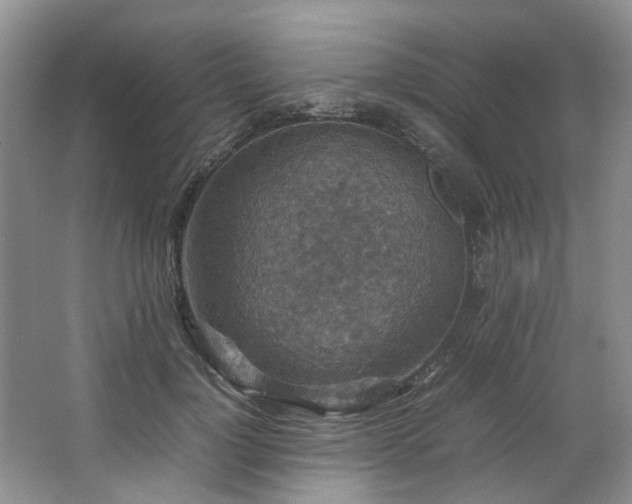 X0000064770748200602101249