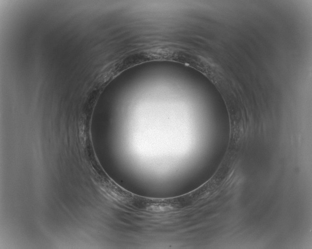 X0000064770749200602101249