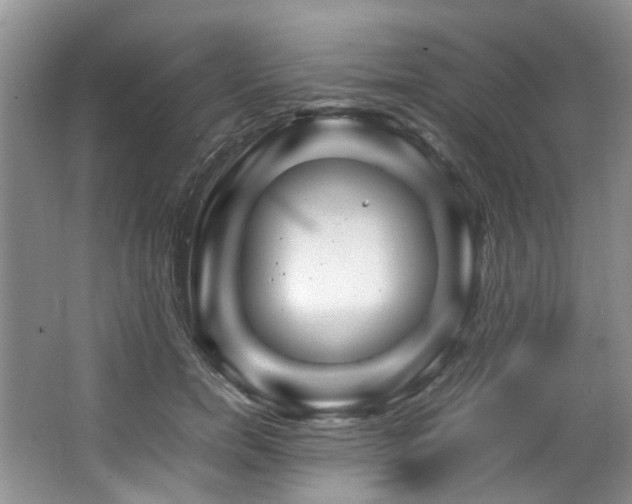X0000064770750200602101249