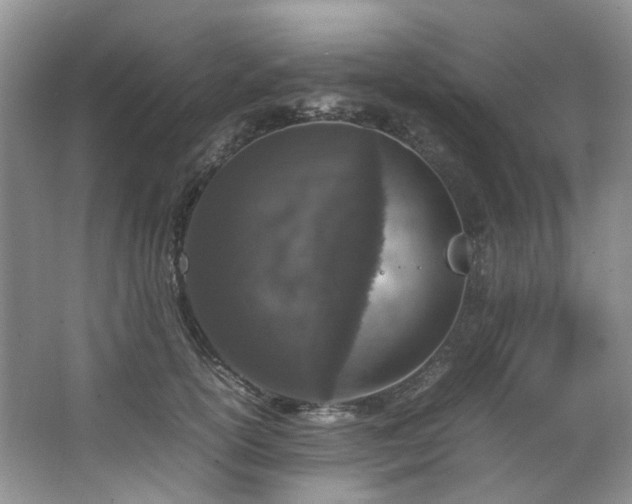 X0000064770754200602101249