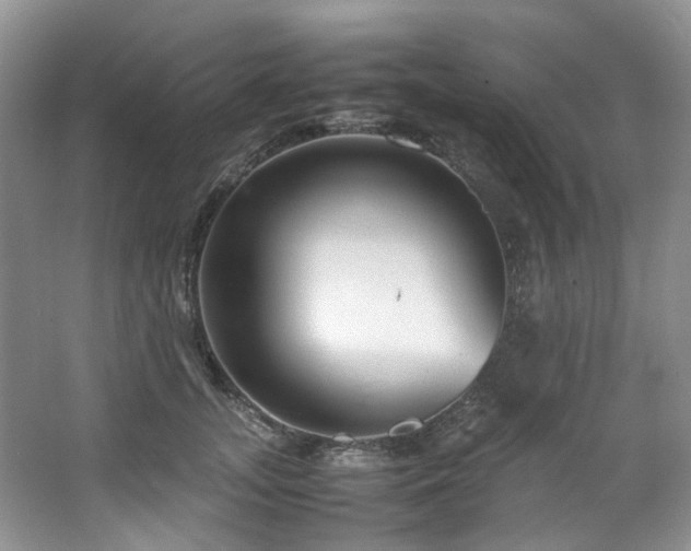 X0000064770755200602101249