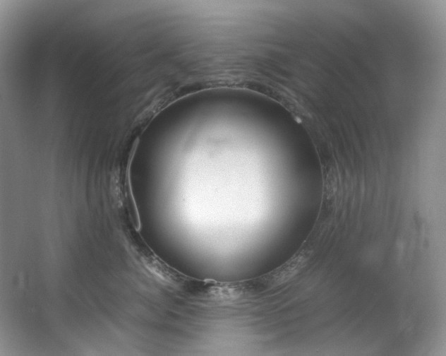 X0000064770764200602101249