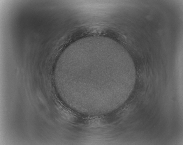 X0000064770769200602101248
