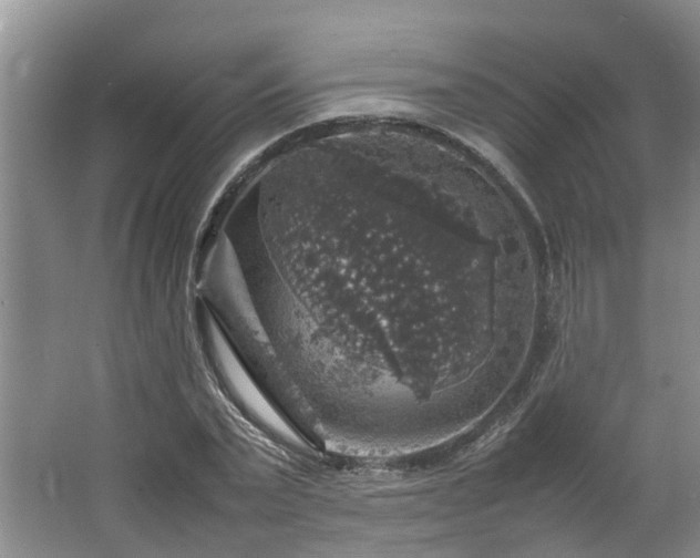 X0000064770783200602101248