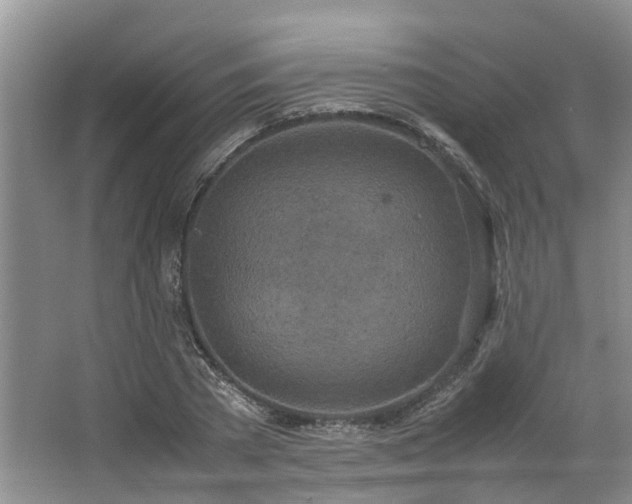 X0000064770785200602101248