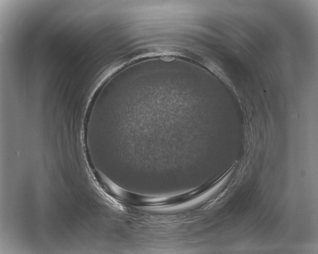 X0000064770797200602101248