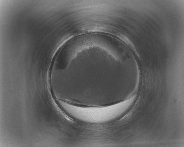 X0000064770798200602101248