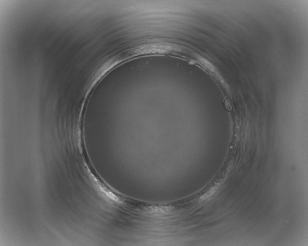 X0000064770802200602101247