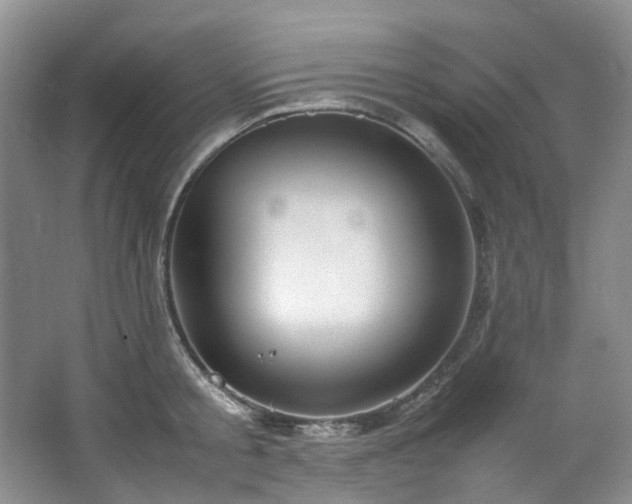 X0000064770805200602101247