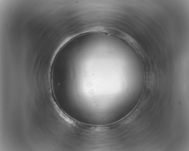 X0000064770808200602101247
