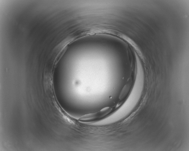 X0000064770809200602101247