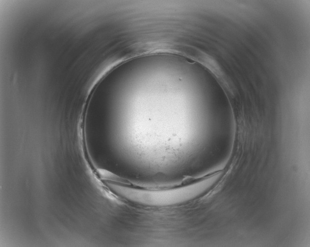 X0000064770814200602101247