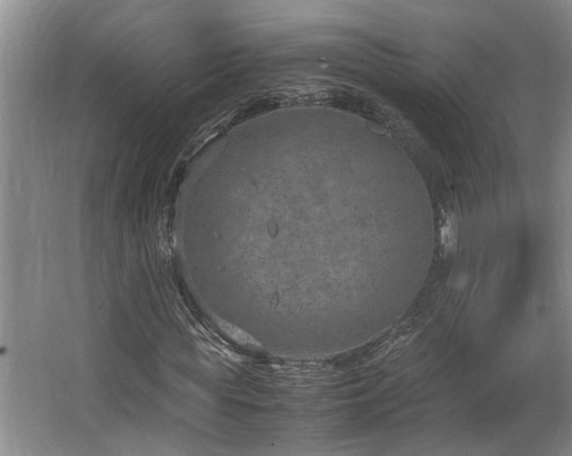 X0000064770819200602101246